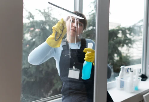 Nettoyage de vitres intérieures et extérieures à Saint-Priest-la-Plaine